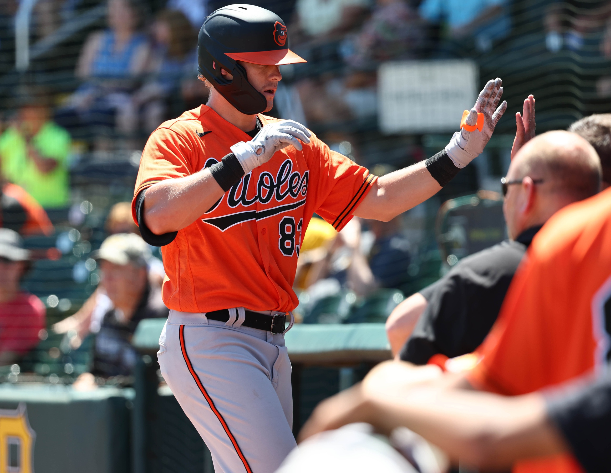 Orioles' Minor League Preview: Prospects lead the way